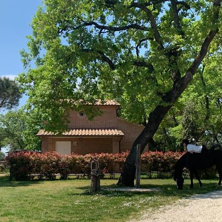 Casina Miriano Vila Castiglione del Lago Exterior foto