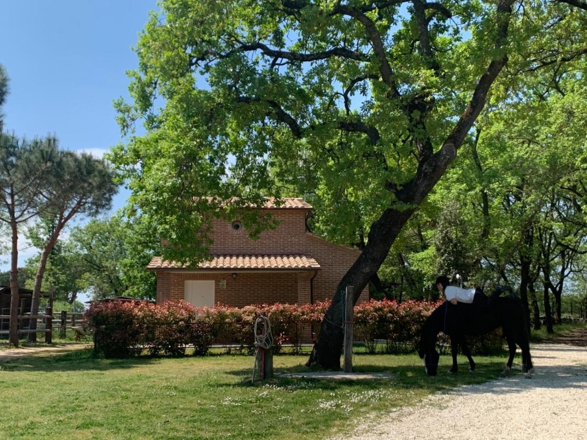 Casina Miriano Vila Castiglione del Lago Exterior foto