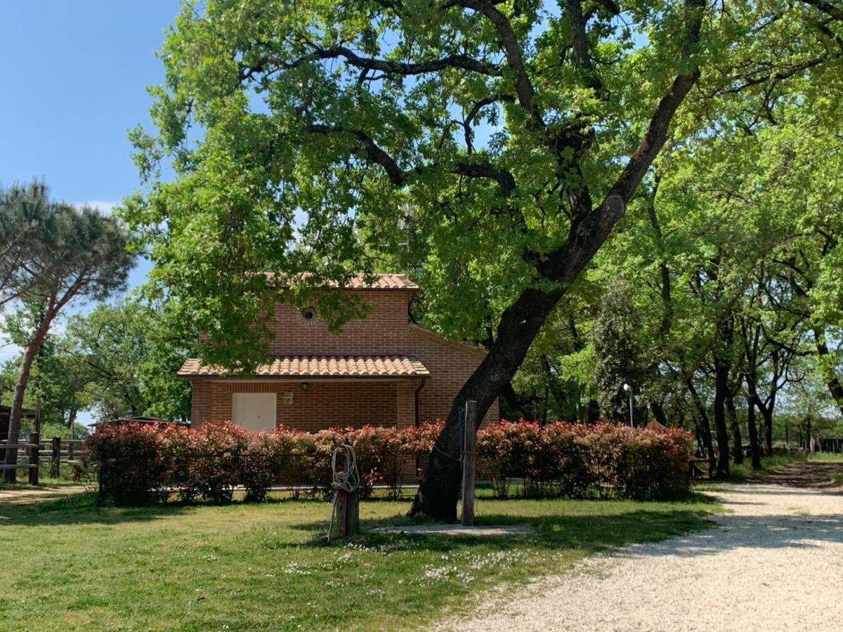 Casina Miriano Vila Castiglione del Lago Exterior foto